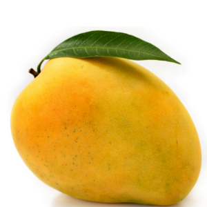 Mango_brownmamas Mango_brownmamas