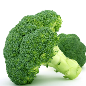 broccoli broccoli